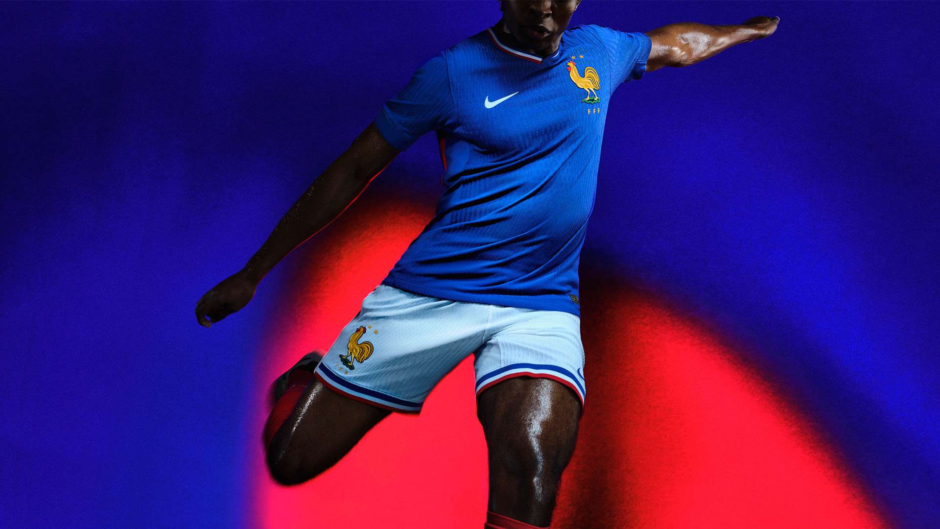 坛新星的崛 坛新星的崛